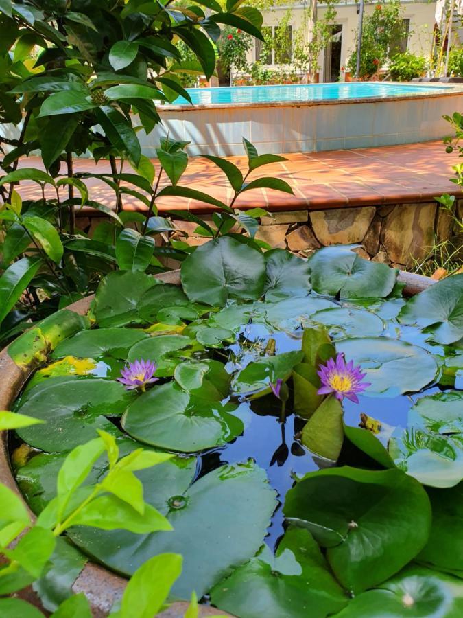Blue Paradise Bungalow 두옹 동 외부 사진
